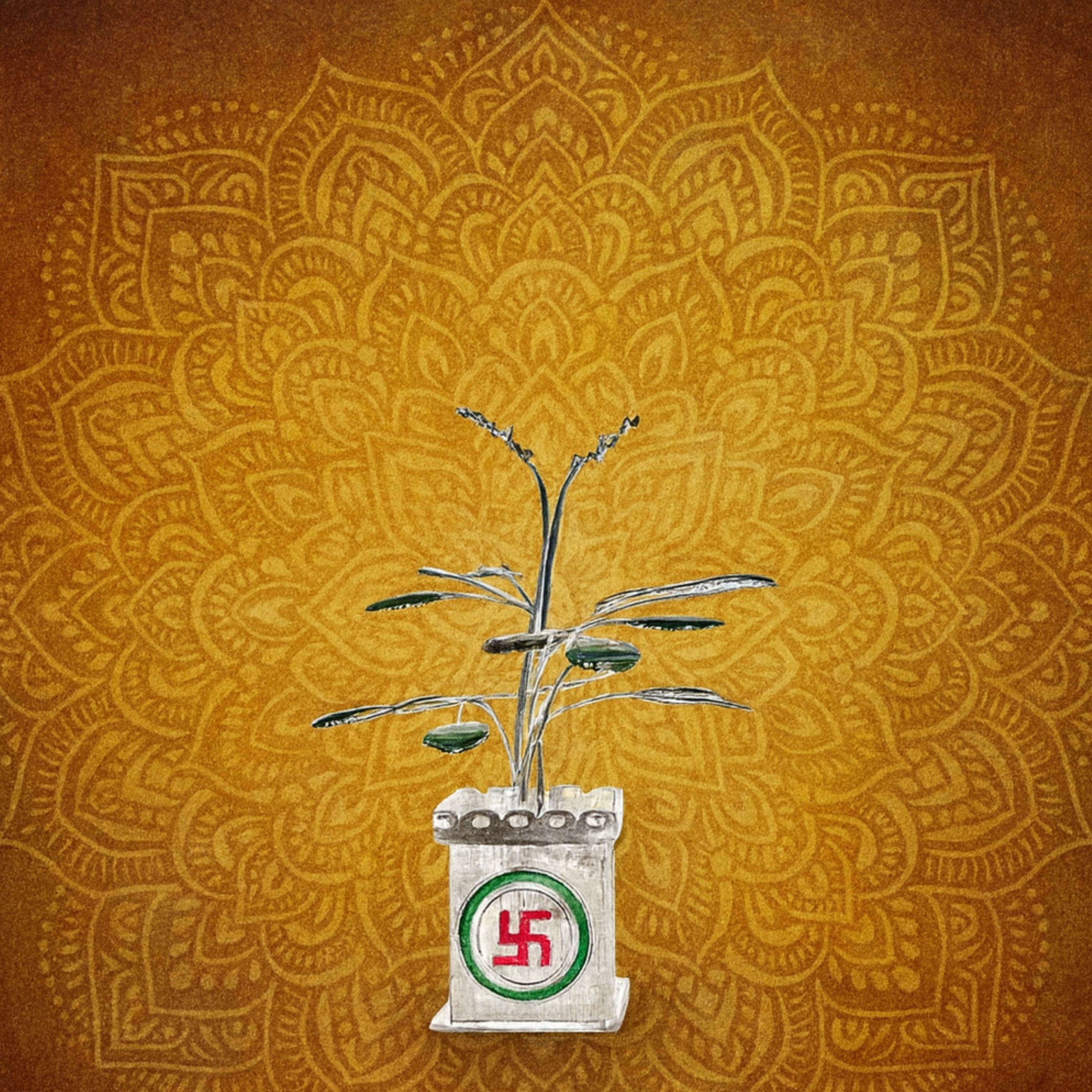 Silver Swastik Tulsi Plant