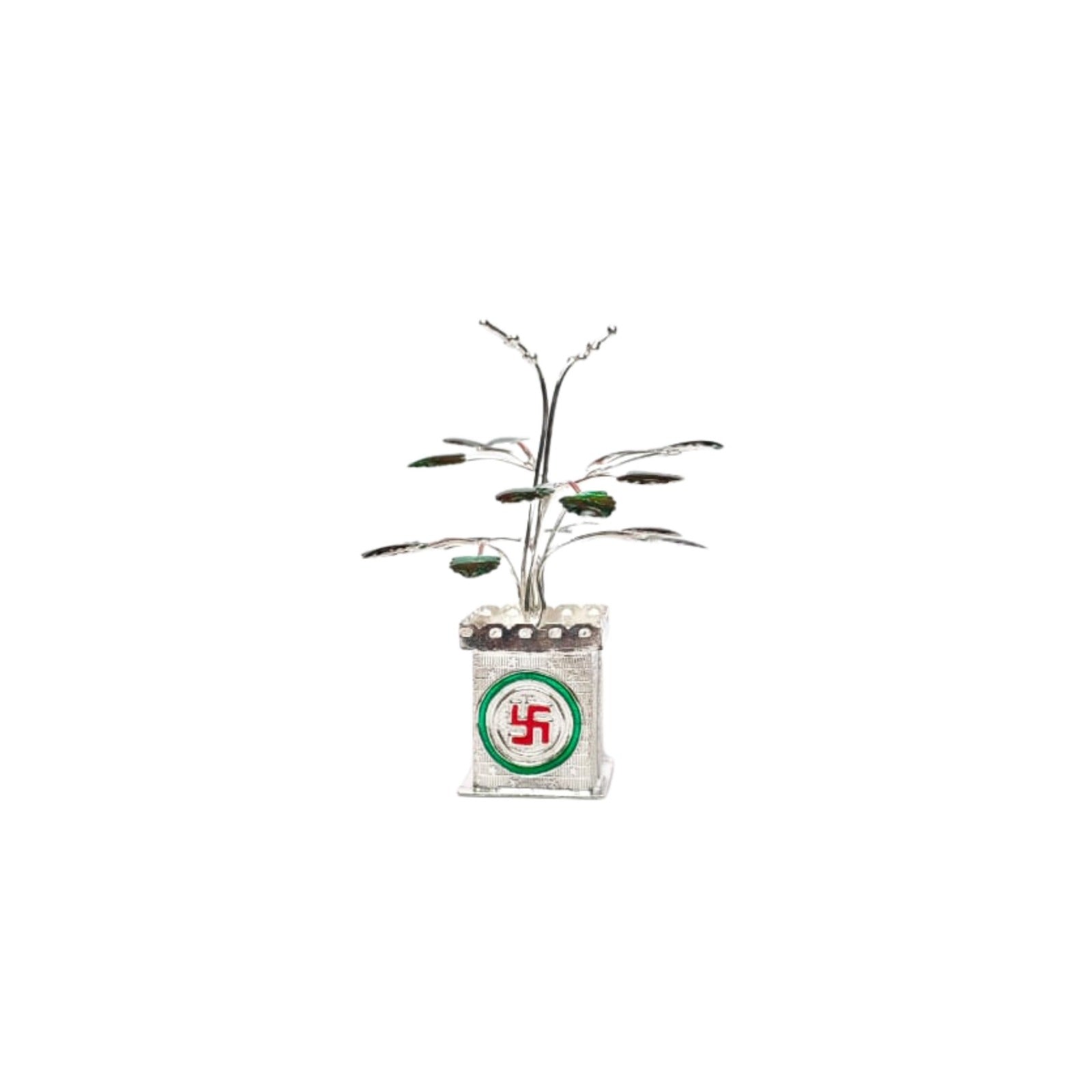Silver Swastik Tulsi Plant